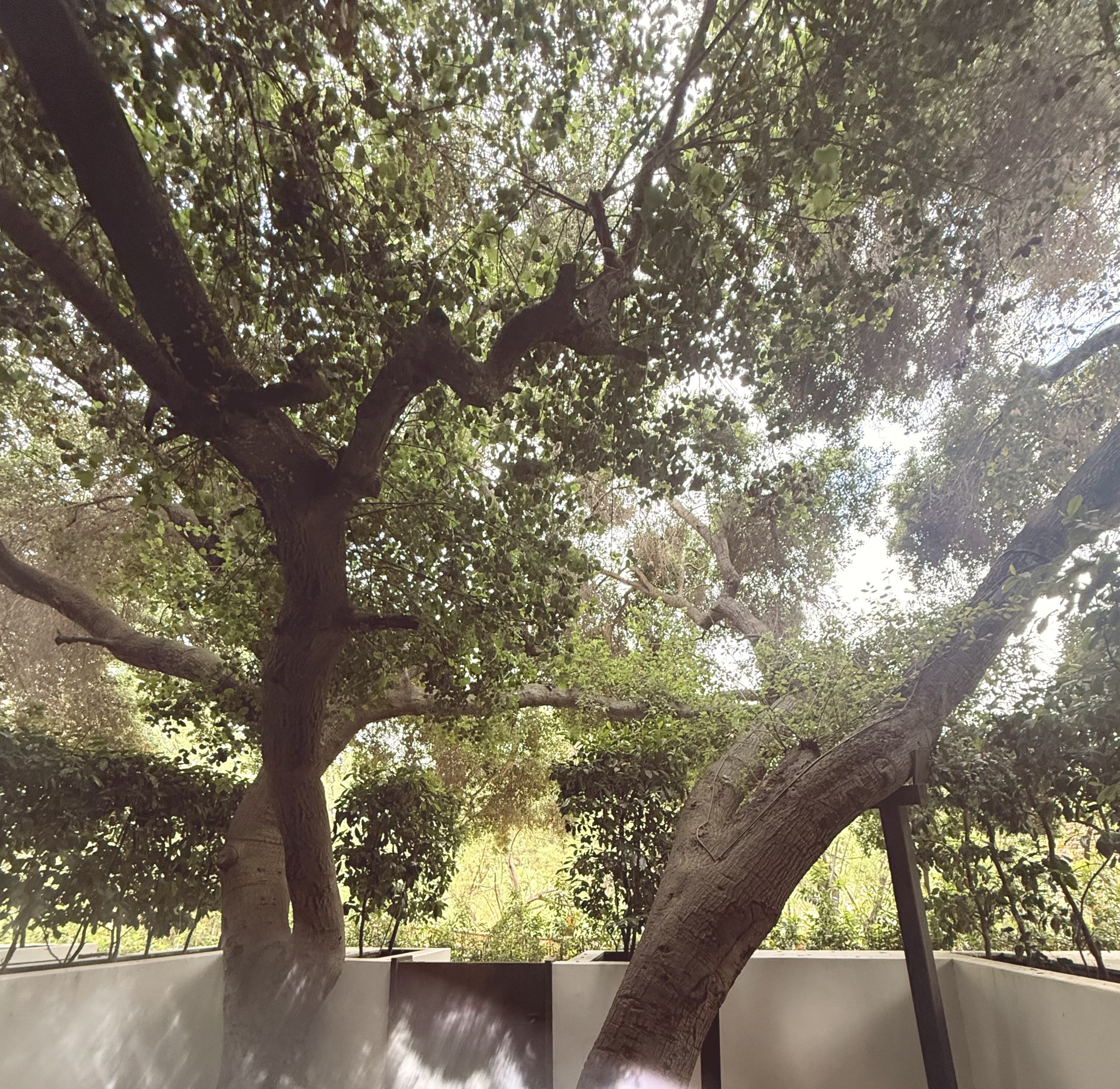 A peaceful interior with large windows overlooking a garden