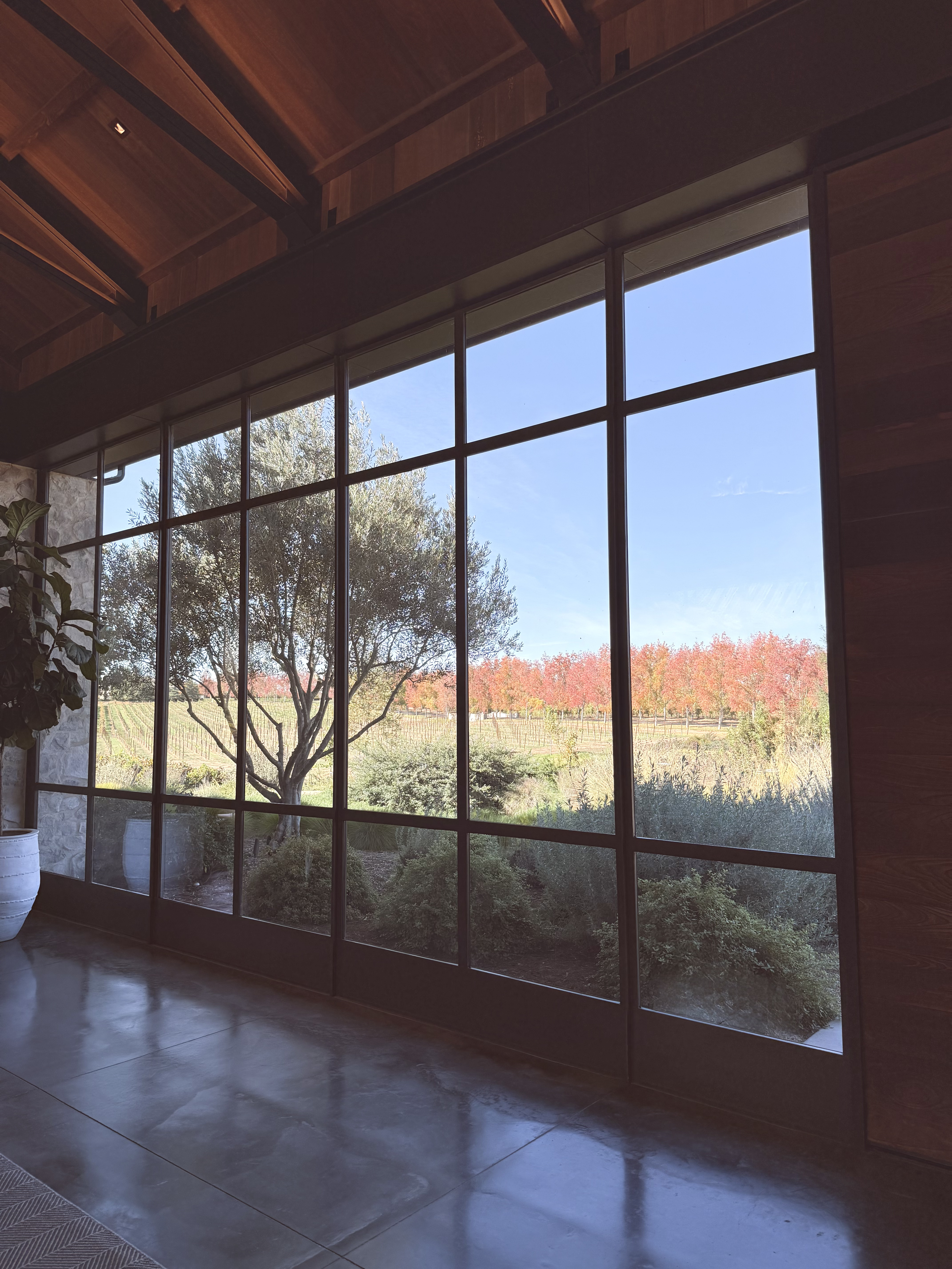 A bright therapy office window